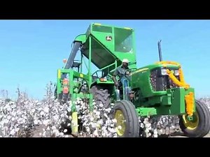 Tierra HDPS Cotton Machine Harvesting Demo