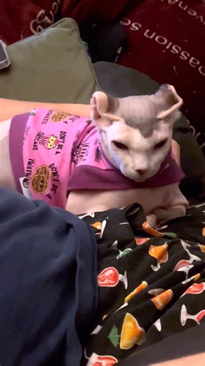 36K views · 1.4K reactions | There really aren’t many theme songs out there that my folks haven’t remixed to make about me.  | Beebsposting | Facebook