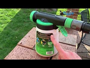 Beneficial Nematodes: The Natural Way to Control Fleas and How to Apply