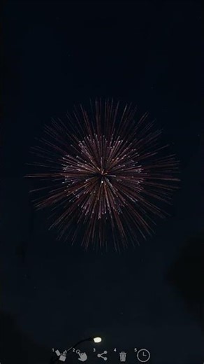 12" Brocade MultiFlash Cc Violet Green With Silver Tail in Fireworks Mania! #fireworks