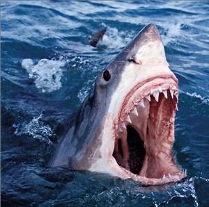 Conway The Machine & Alchemist Grab ScHoolboy Q For "Shoot Sideways"