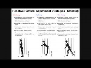 Reactive Postural Adjustments | Strategies For Maintaining Balance