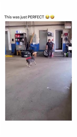 4.9K views · 73 reactions | Cup check!  Via @therealvigpupi on Instagram | Sports Knightly Baseball | Facebook