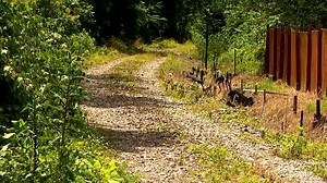 Brevard to get $24 million in federal funds to finish Ecusta Trail for biking, hiking