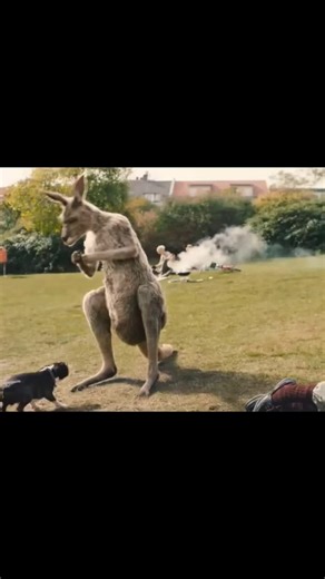 Jahon kinolari on TikTok