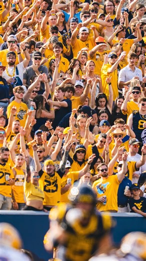 115K views · 2.8K reactions | Get up, it's GAME DAY  | WVU Football | Facebook