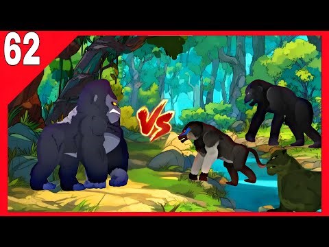 Gorilla vs Mandrill, Bonobo & Black Panther | Who Wins? 🦍⚔️