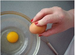 Cracking an egg gif on Make a GIF