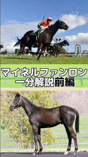 【競走馬解説】(前編)にわかが通称ファニキ、マイネルファンロンについて1分で解説 #競馬 #競走馬 #解説 #マイネルファンロン #解説動画