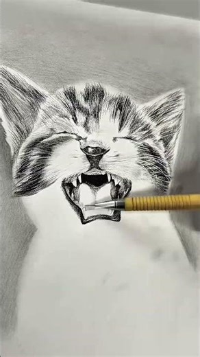 Meow meow drawing ✍🏻 #shorts #art #cat #edit #sketch