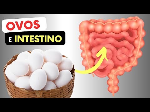 OVOS e INTESTINO - O que você PRECISA SABER!
