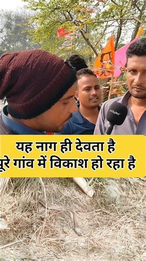 यह नाग देवता ही है |