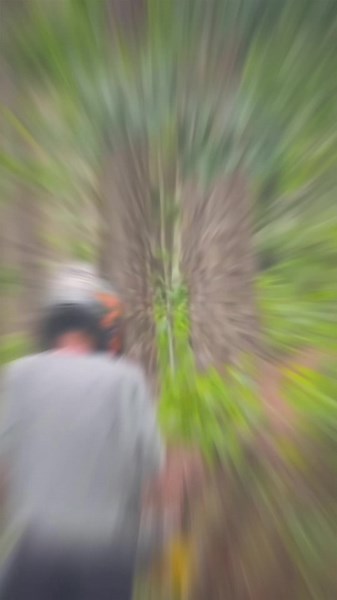 FKN 153 Fahckan 🌍