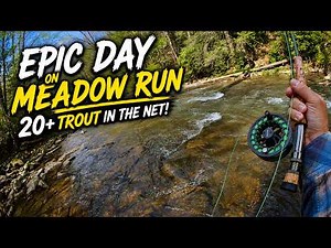 INSANE Trout Fishing! 20+ Fish in an Afternoon (Meadow Run)