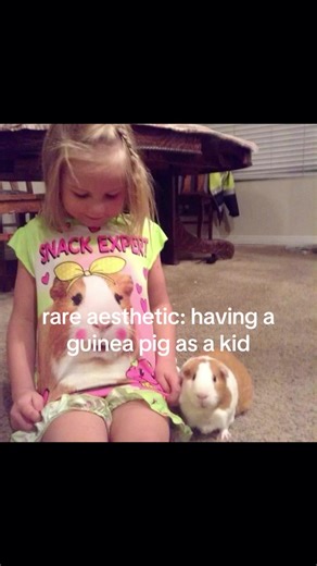 Caring for Your Childhood Guinea Pig Pet