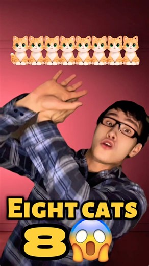 counting cats together😸😻🤓#cat#shorts#memes#teach#check#kids#kidsvideo#kidscat#fyp