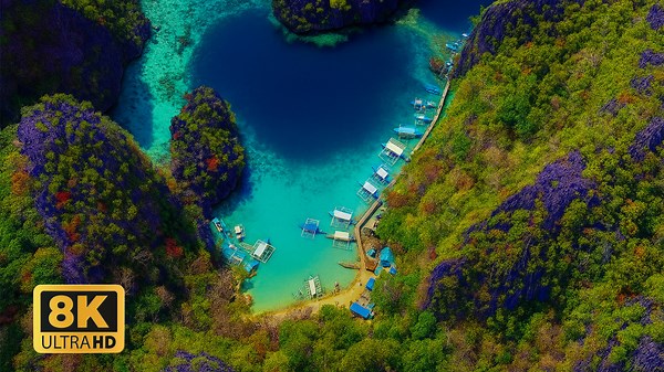 12K HDR ULTRA HD Demo at 240FPS – Dolby Vision™ Showcase for Premium 4K & 8K TVs