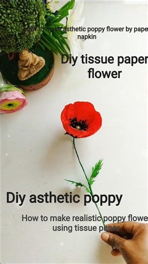 how to make poppy flower using paper napkin|diy asthetic poppy flower by tissue paper| #diy #shorts