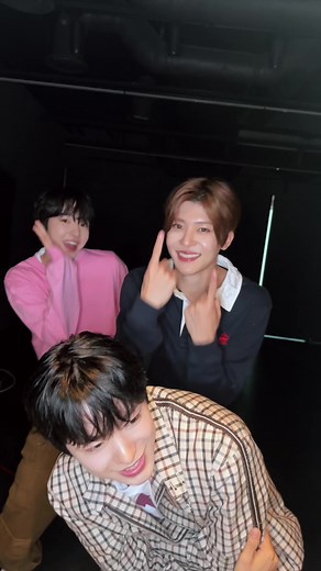 Songbird TRIO Ready to Fly - NCTWISH