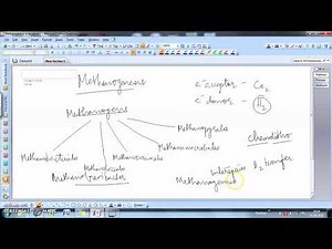 Methanogenesis | Diversity in Anoxic Ecosystems | Microbial Diversity