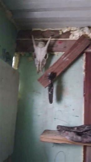 Rudolph The Red Nosed Raindeer #huntingseason #christmas #blueridgemountains #rudolph