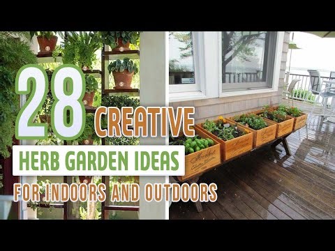 28 Creative Herb Garden Ideas for Indoors and Outdoors