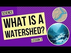 What’s a Watershed and Why Does It Matter?