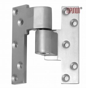 [Hot Item] SS304 Max Door Weight 1000kgs Offset Pivot Hinge Door Pivot