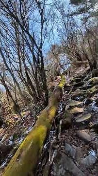 福岡県最高峰を求めて釈迦岳へ！