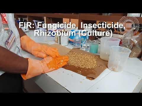 Watch video to know the mechanical method of seed treatment