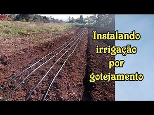 Como instalar fita de irrigação// irrigação por gotejamento como funciona..
