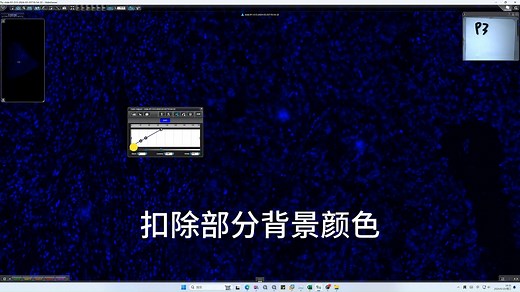 SlideViewer看图软件使用——荧光图像信号亮度调整