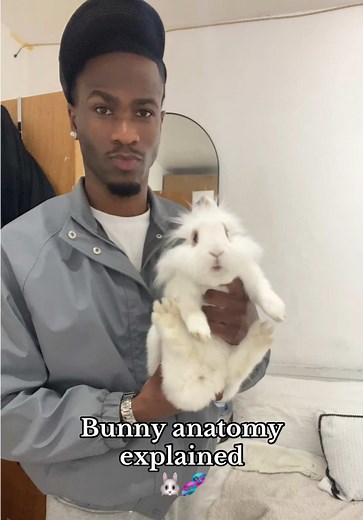 Rabbit Anatomy Explained: Understanding Bunny Biology