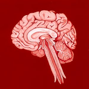 Shing02 - 400 (Instrumentals)