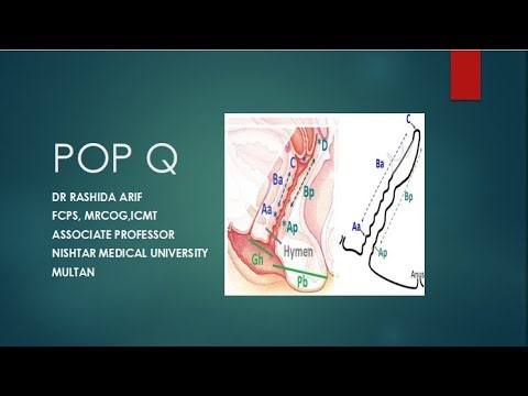 POP Q Classification