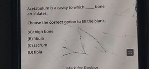 Acetabulum is a cavity to which \qquad bone articulates.Choos... | Filo