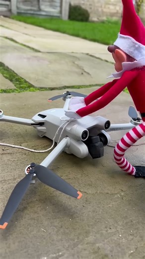 Funny Flying elf 😂 #Elvesbehavinbadly