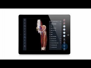 Introducing Essential Anatomy 3