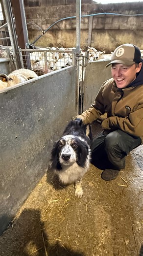 47 reactions · 4 comments | It’s been a busy few days on the farm —...