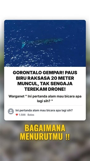 Bagaimana menurut kamu !!