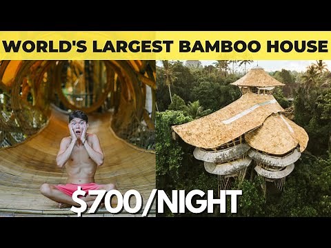 Craziest Airbnb - Largest Bamboo House Tour - Bali📍