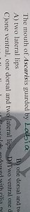 The mouth of Ascaris is guarded by LabiaA) two lateral lipsB)... | Filo