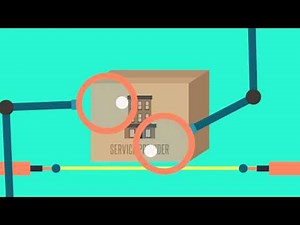 SSAE 16 Professionals, LLP - SSAE 16 SOC 1 Audit Overview