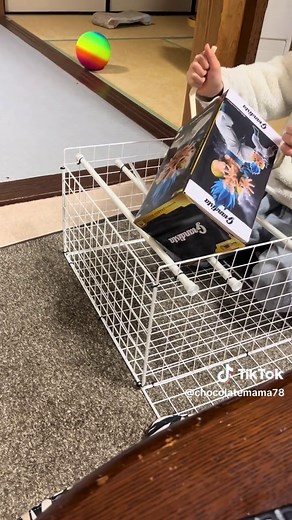 自作クレーンゲームの研究と攻略法