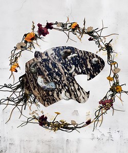 Code Orange Concert & Tour History  | Concert Archives