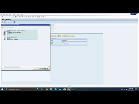 User security and authorization group |sap profiles and roles