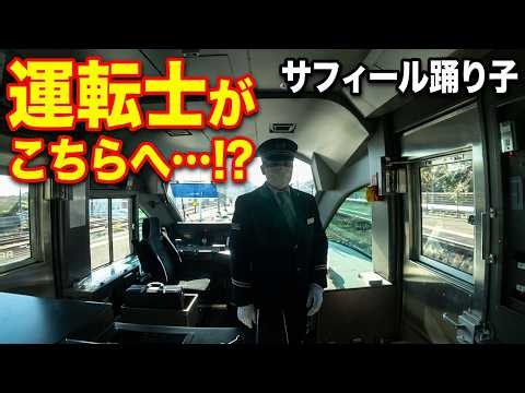 ある日の伊豆急行線 サフィール踊り子に乗車した時・・・