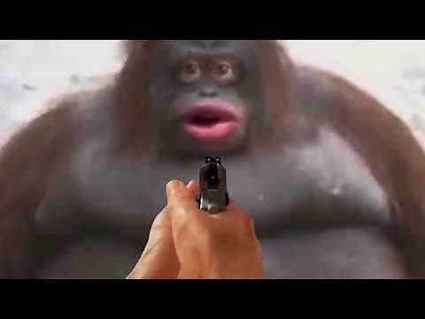 The Death of UH OH Stinky Monkey