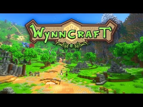 🌟 Leveling Marathon sur Wynncraft : Jusqu’où peut-on aller ?