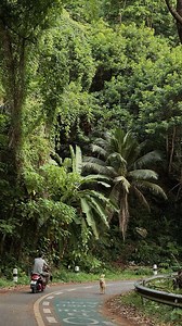 T’as remarqué ? Plus tu bosses, plus t’es pauvre. Bienvenue dans le modèle qu’on t’a vendu comme ‘la sécurité’. J’ai compris un truc : Si tu ne fais rien, ce modèle te saigne à blanc. Et tu continueras à vie à courir après un confort… que tu n’atteindras jamais. Ce mois-ci, j’ai déjà fait 5000$. Et il reste une semaine. Tu crois que j’ai eu ça avec des affirmations positives ? Non. J’ai appris à vendre. J’ai appris à structurer. Et surtout, j’ai décidé de ne plus attendre. Parce que le vrai coût